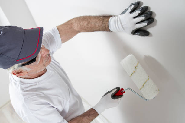 Best Mold Documentation for Insurance Claims  in Mascoutah, IL