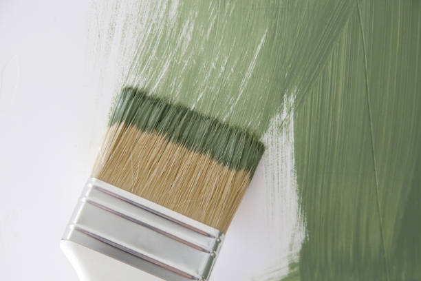 Best Commercial Mold Inspection  in Mascoutah, IL