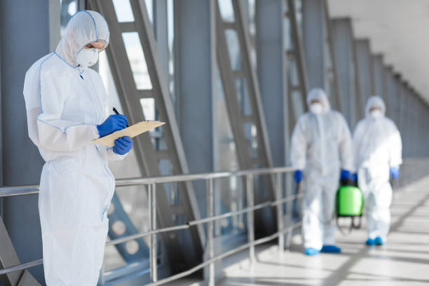 Best Mold Prevention Services  in Mascoutah, IL