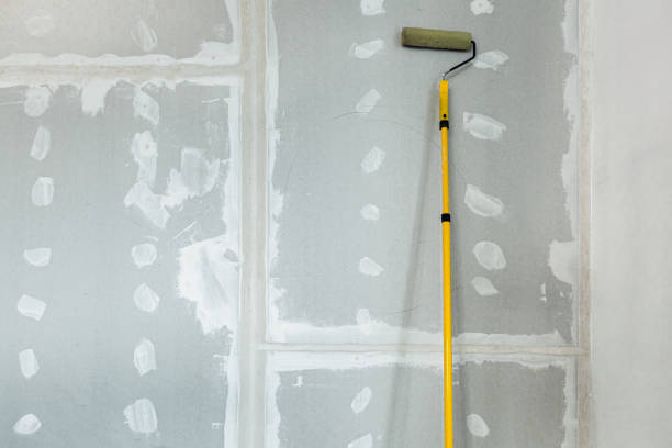 Best Mold Remediation for Vacation Homes  in Mascoutah, IL
