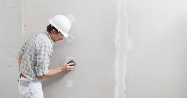 Best Water Damage & Mold Remediation  in Mascoutah, IL