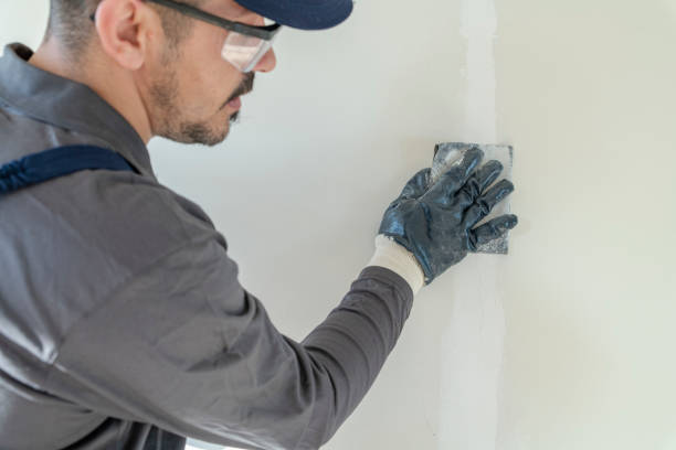 Best Real Estate Mold Inspection  in Mascoutah, IL