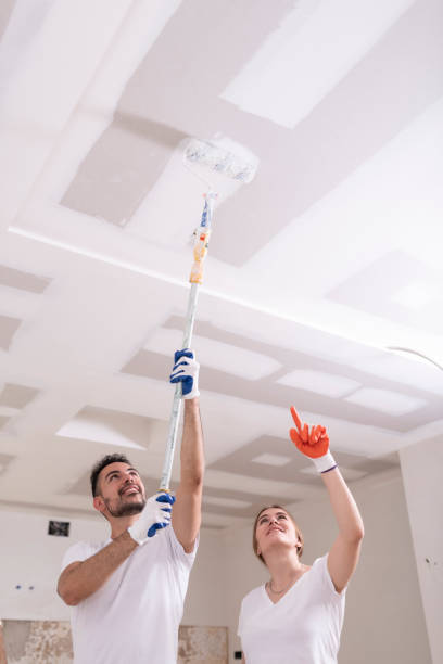 Best Mold Prevention Services  in Mascoutah, IL