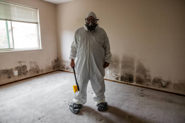 Best Residential Mold Inspection & Testing  in Mascoutah, IL